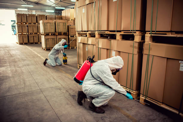 Best Pest Prevention Services  in Holbrook, NY