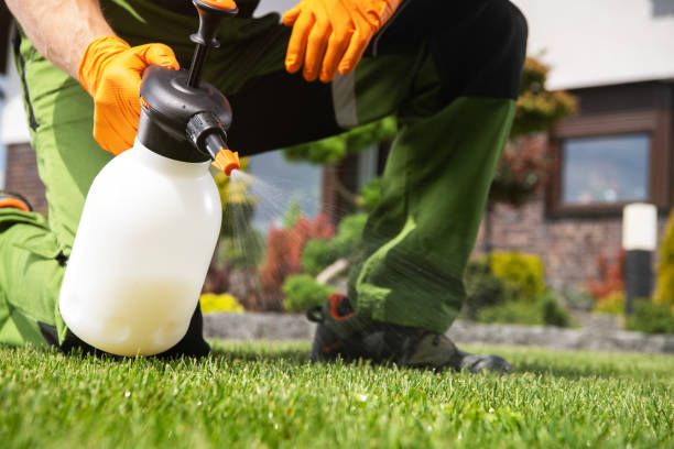 Best Best Pest Control Companies  in Holbrook, NY
