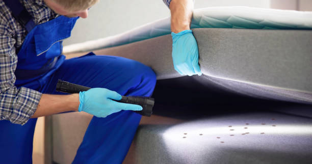 Best Cockroach Control Services  in Holbrook, NY