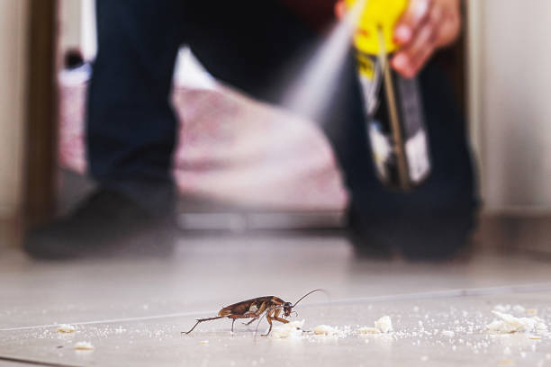 Best Wildlife Control Services  in Holbrook, NY
