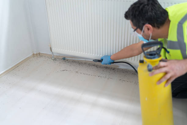 Best Local Pest Control Services  in Holbrook, NY