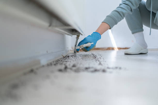 Best Best Pest Control Companies  in Holbrook, NY