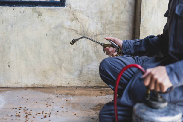 Best Pest Inspection Near Me  in Holbrook, NY